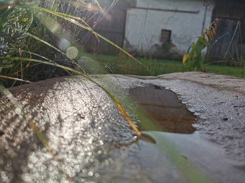 A silent water trough.